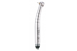 3108202010_17bea4f5162be69107ab3053518b4a1c-1200x800 (1)